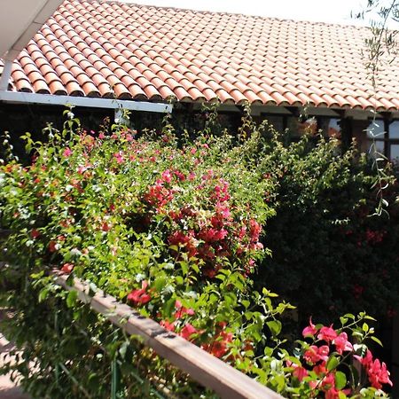 Hostal Viejo Olivo Sucre Exteriér fotografie