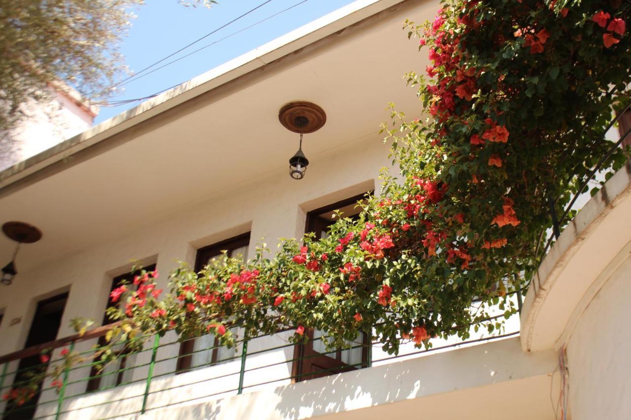 Hostal Viejo Olivo Sucre Exteriér fotografie