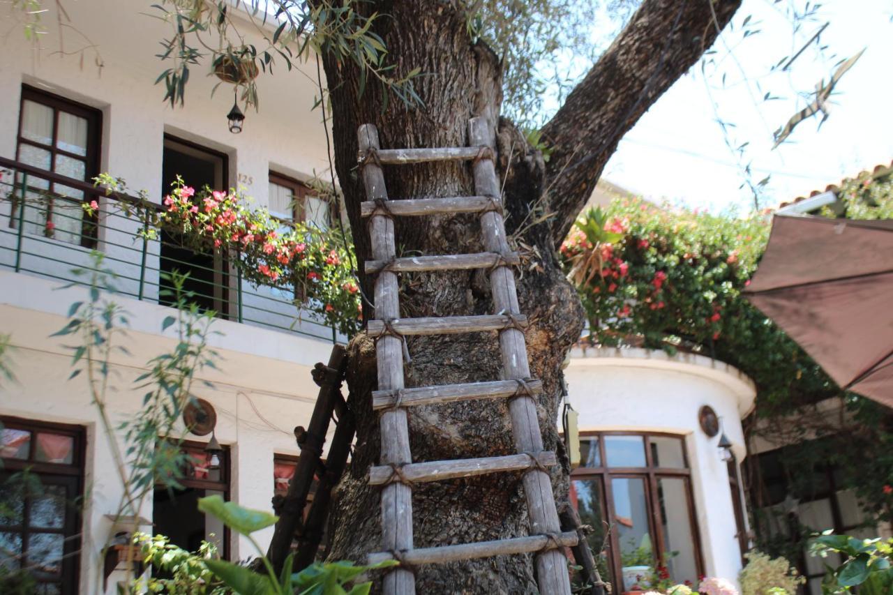 Hostal Viejo Olivo Sucre Exteriér fotografie